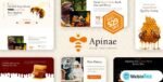 Apinae webintez.com