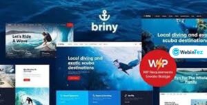 Briny webintez.com