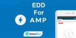 EDD For AMP webintez.com