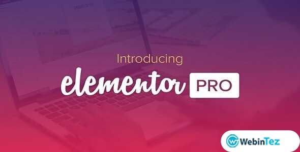 Elementor Pro webintez.com