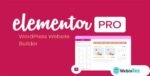 Elementor Pro webintez.com