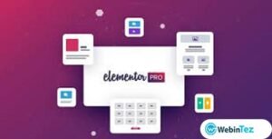 Elementor Pro webintez.com