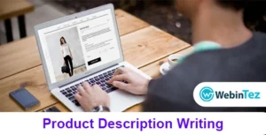 Product Description Writing webintez.com