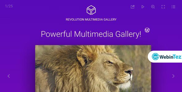 Revolution Multimedia Gallery webintez.com