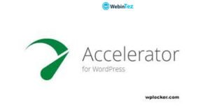 Seraphinite Accelerator webintez.com