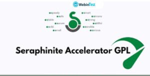 Seraphinite Accelerator webintez.com