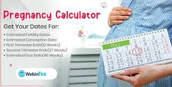 WP Pregnancy Calculator webintez.com