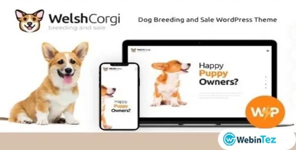 Welsh Corgi webintez.com