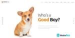 Welsh Corgi webintez.com