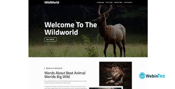 WildWorld webintez.com