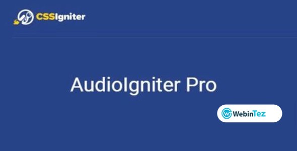 AudioIgniter webintez.com