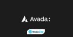 Avada webintez.com