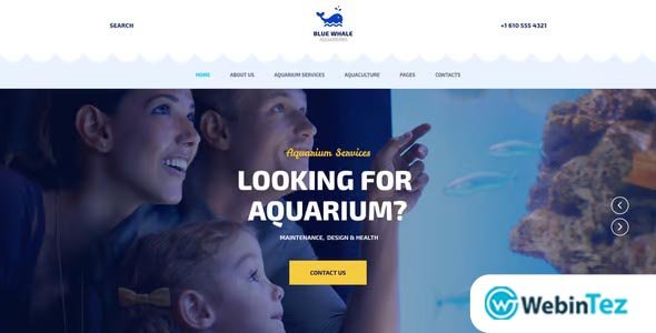 Aqualots webintez.com