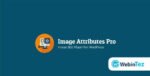 Auto Image Attributes Pro webintez.com