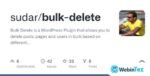 Bulk Delete webintez.com