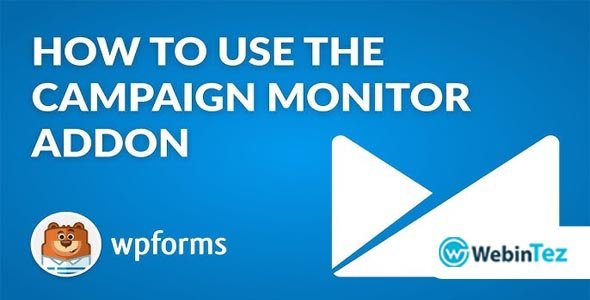 WS Form Campaign Monitor webintez.com