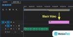 BlackVideo Pro webintez.com