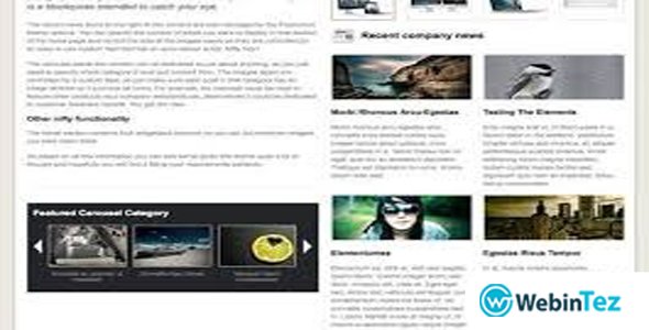 WooThemes Stitched Premium Theme webintez.com