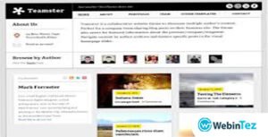 WooThemes Teamster Premium Theme webintez.com