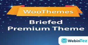 Briefed Premium webintez.com