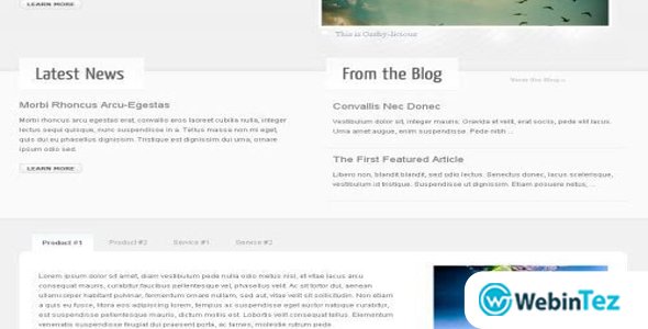 WooThemes Cushy Premium Theme webintez.com