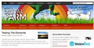 WooThemes Digitalfarm Premium Theme webintez.com