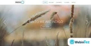 Indigo webintez.com